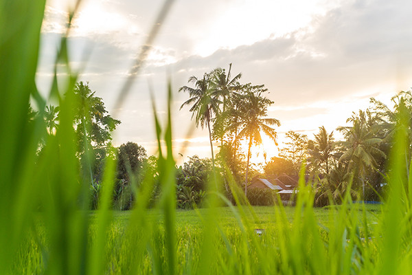 Sunrise and Sunset View